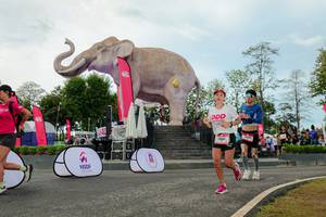 BIB: 
                            <button type="button" onclick="openModal(26528975)" class="btn btn-primary btn-sm float-right btn-popup" data-toggle="modal" data-target=".modal-high-quality">
                        <i class="fas fa-shopping-cart"></i> Add to Cart
                    </button>
                                            <button type="button" onclick="isThisMe(26528975, true)" class="btn btn-success btn-sm float-right btn-popup btn-isme hidden" data-toggle="tooltip" data-placement="bottom" title="นี่คือรูปของคุณใช่ไหม คลิกที่นี่เพื่อเอาเข้าอัลบั้ม">
                        <i class="fas fa-plus"></i> Add to album
                    </button>
                    <button type="button" onclick="isThisMe(26528975, false)" class="btn btn-warning btn-sm float-right btn-popup btn-isnotme hidden">
                        <i class="fas fa-ban"></i> Remove from album
                    </button>